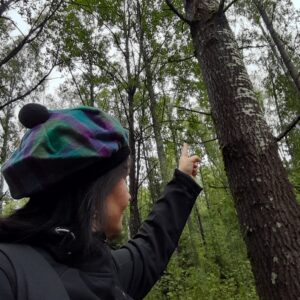Metsässä Helsingissä (syyskuu)